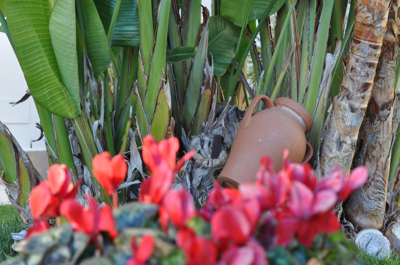 Villa Marcella Room ปอร์โตเชซาเรโอ ภายนอก รูปภาพ